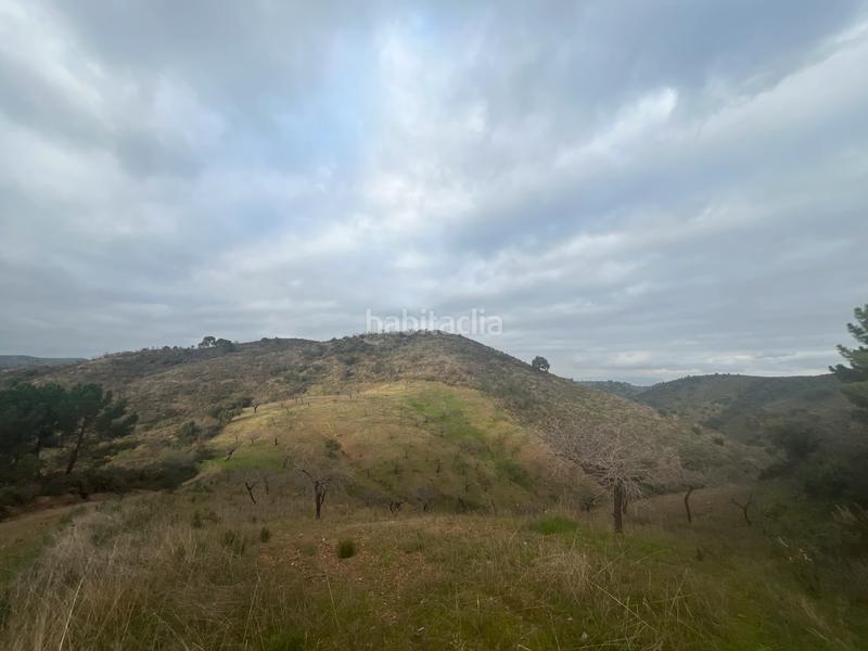 Foto bffa8504-0fa3-4baf-8d48-a618f2e2bd42. Finca rústica a Monda