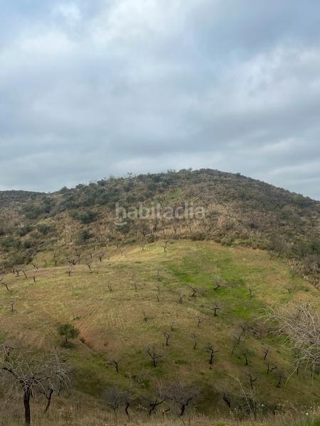 Foto c22e175a-1e23-4482-8814-1727c244c0ec. Finca rústica a Monda