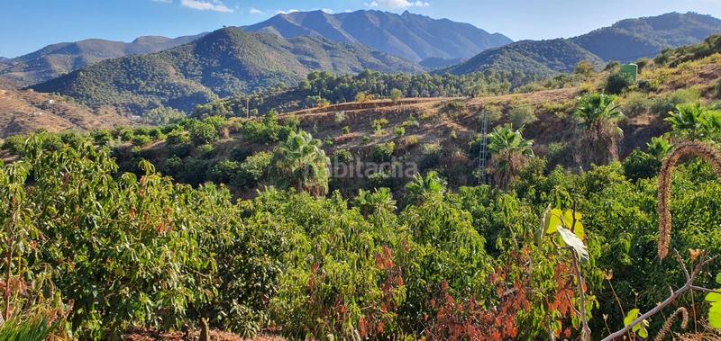 Foto 04f091ab-41ae-4d85-a081-63d88bc52bf4. Finca rústica espectacular finca en Monda