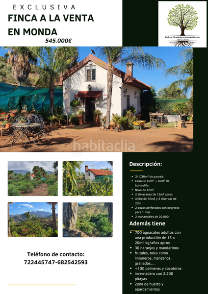 Foto b098a8f9-ece5-4127-a143-140487daebc1. Finca rústica espectacular finca en Monda
