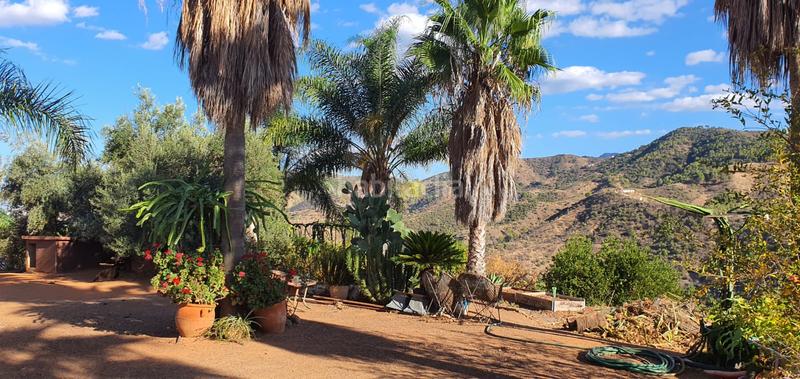 Foto bd100a9d-4a22-4578-a3eb-2ed161721184. Finca rústica espectacular finca en Monda