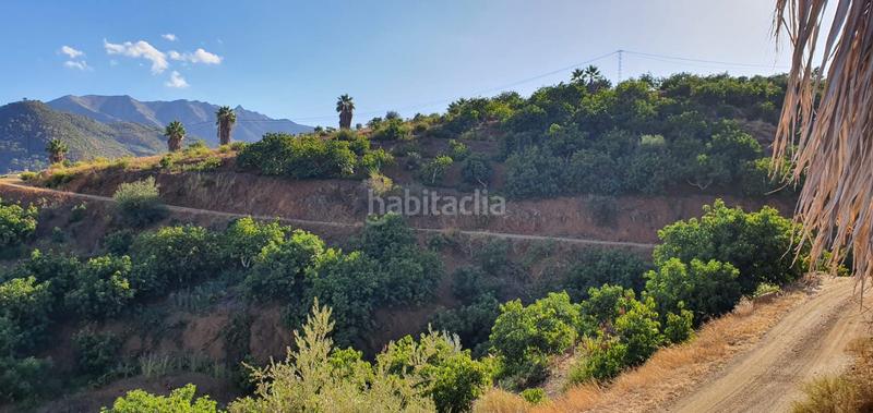 Foto c1587fbc-dcaf-40d5-92b7-ffc6cb0a0027. Finca rústica espectacular finca en Monda