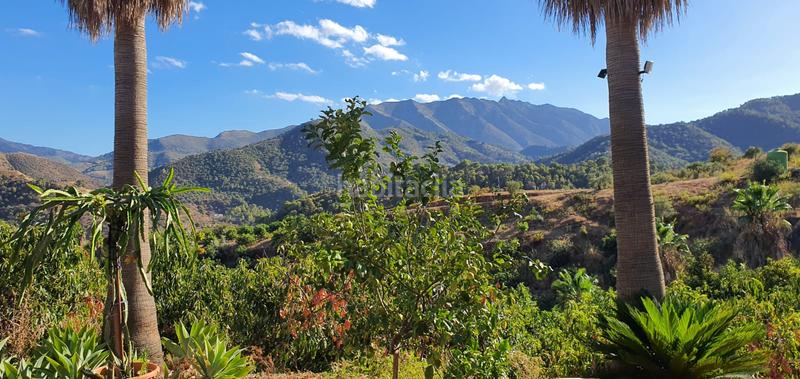 Foto d04bf9f2-b039-410a-acb2-75ceed7bc733. Finca rústica espectacular finca en Monda