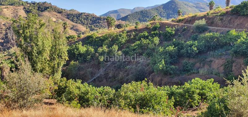 Foto d84dadab-81e6-45d1-b1c2-1558a67d984d. Finca rústica espectacular finca en Monda