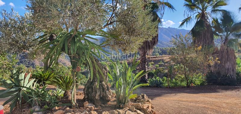 Foto e96dcf13-9c67-4ffa-9687-10ac0af3d1c5. Finca rústica espectacular finca en Monda
