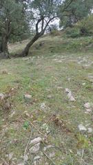 Finca rústica  Partida fuensanta. Magnífica parcela