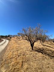 Fondo rustico in Monda. Espectacular finca