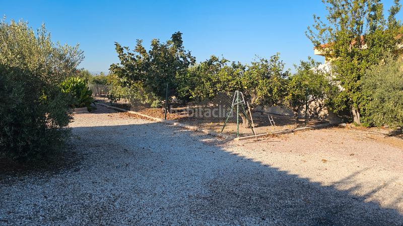 Foto 48becb27-8b2b-4b59-af30-e6a687bd5c59. Chalet mit parking pool in La Foia - Daimés - Asprella Elche / Elx