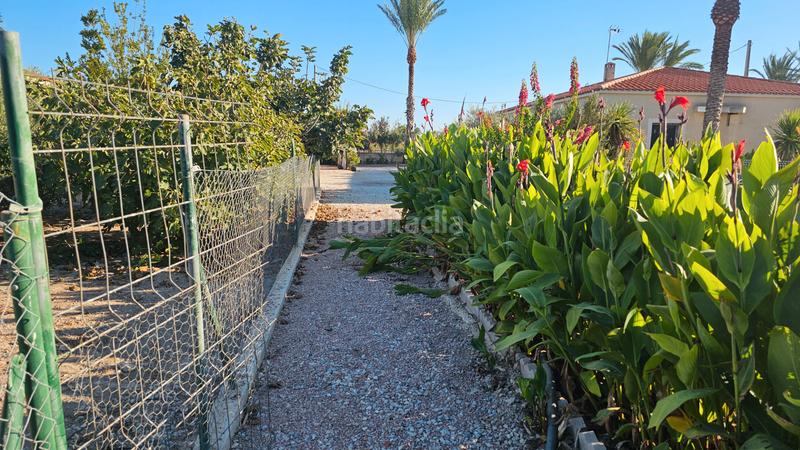 Foto 58867b29-873d-4c5f-bd1e-52202435053c. Chalet mit parking pool in La Foia - Daimés - Asprella Elche / Elx