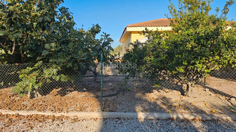 Foto efa02562-ae99-4d9b-87f7-08a7e95b5aeb. Xalet amb aparcament piscina a La Foia - Daimés - Asprella Elche / Elx