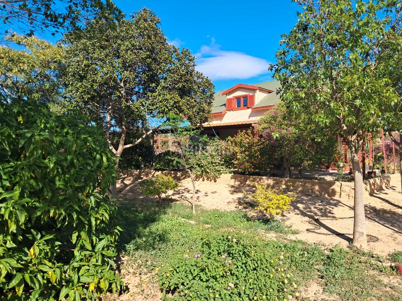 Foto 41d59363-070d-4889-9497-c6b9b1b1a5cf. Country house with parking pool in Jubalcoi Elche / Elx