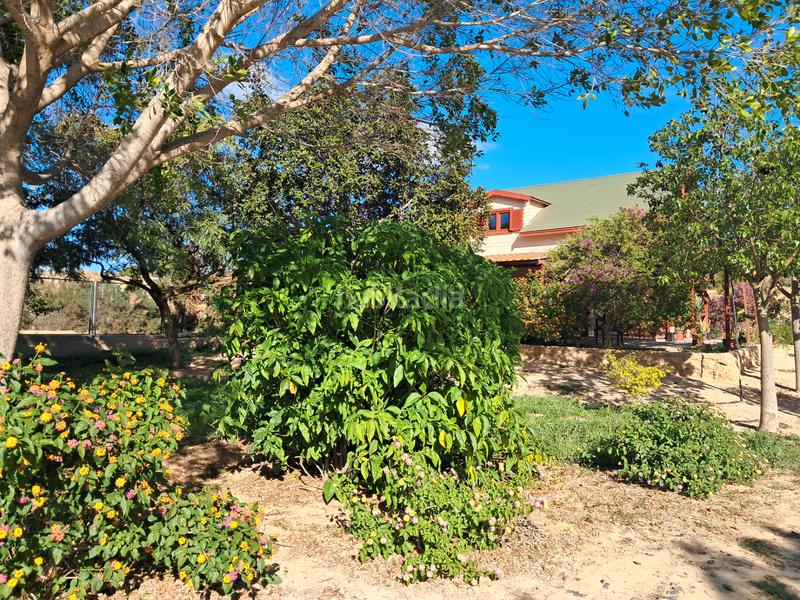 Foto 77153449-1703-46e5-82ed-4c0d84fd7af8. Country house with parking pool in Jubalcoi Elche / Elx