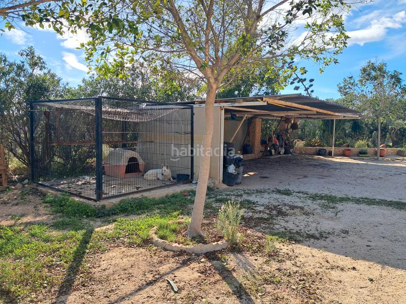 Foto 95098733-d6ec-4ab2-bb90-bc581467d6ce. Country house with parking pool in Jubalcoi Elche / Elx