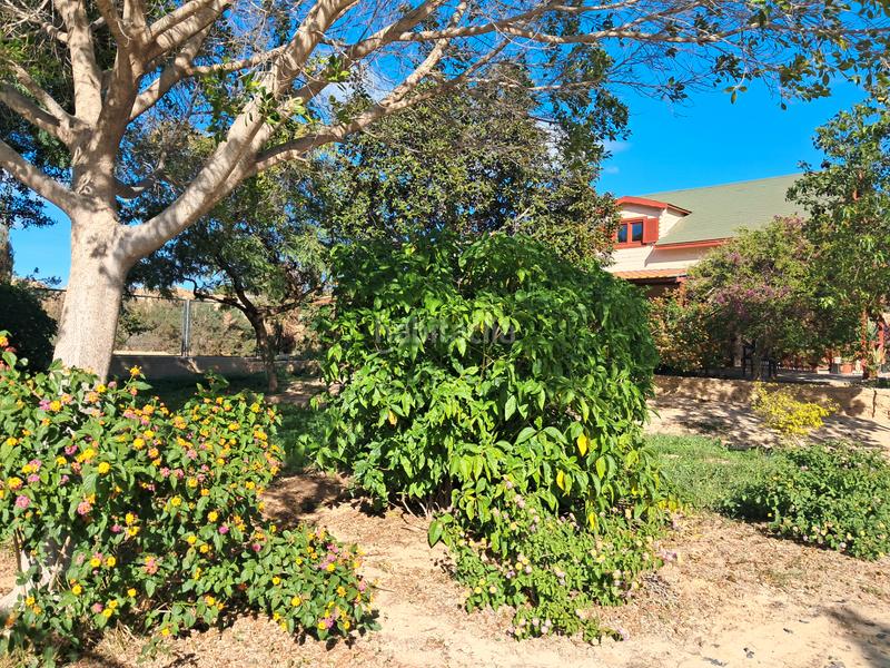 Foto a6693ebe-8825-4fbc-9f1b-902aac1aab83. Country house with parking pool in Jubalcoi Elche / Elx