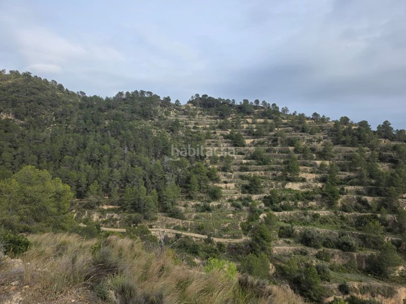 Foto 52aad405-0caa-464a-8d39-73180adc7c6c. Finca rústica a Sella