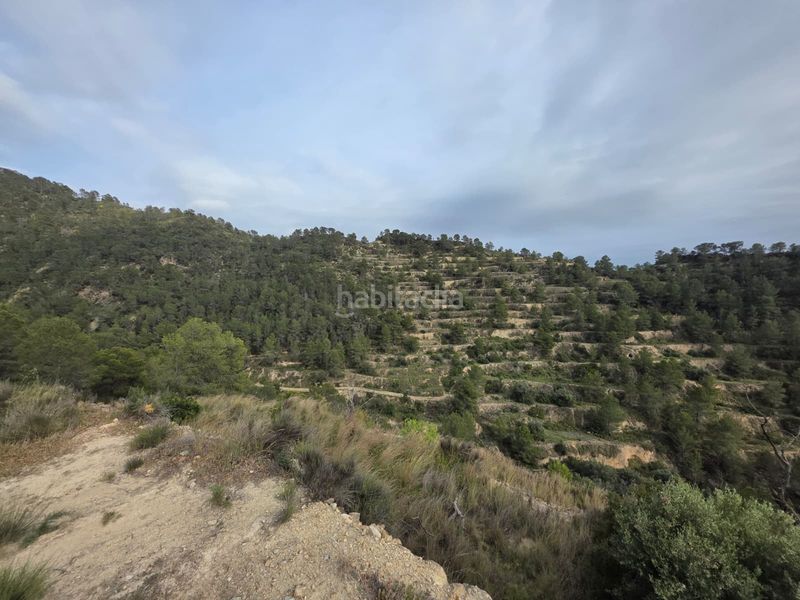 Foto 6ba9f125-459f-4e2f-b87c-92e885d4fe14. Finca rústica a Sella