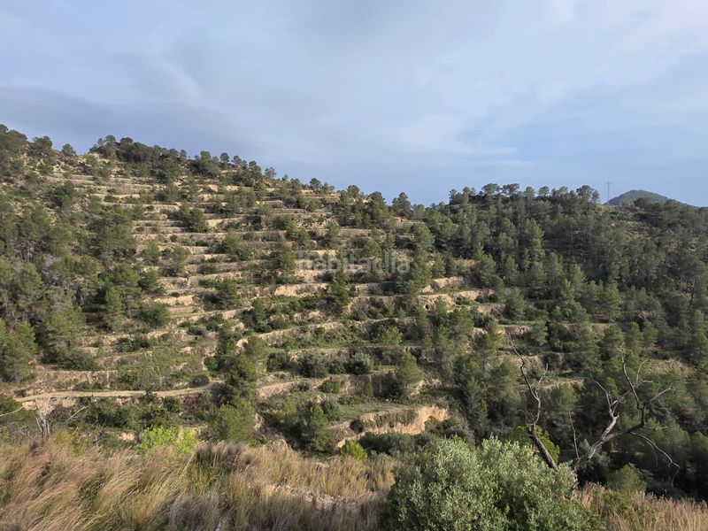 Foto b9a6c6b1-ecd4-460c-97c8-7128e445f844. Finca rústica a Sella