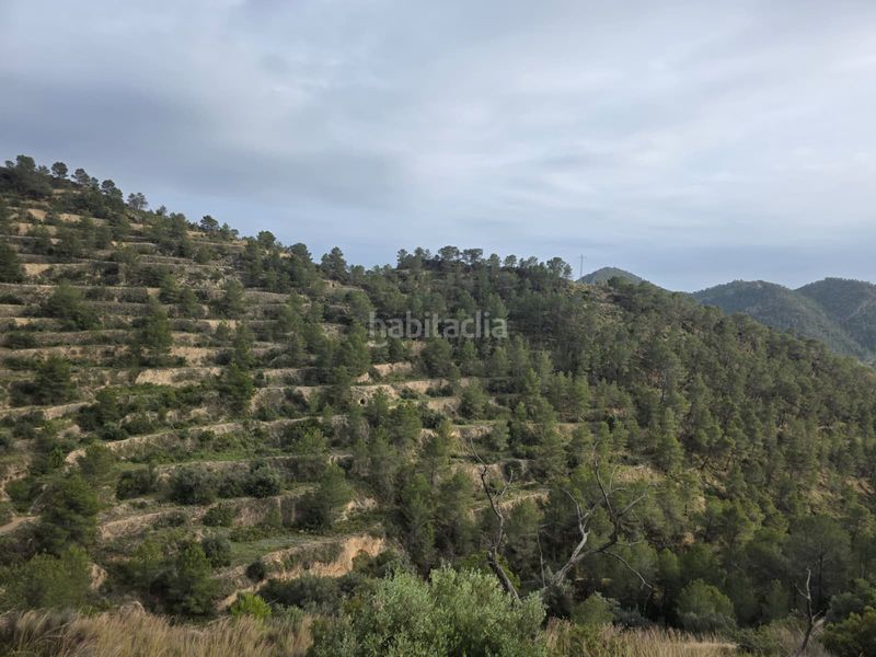 Foto d92f0f9f-b142-455e-b1e2-7f3106e378bb. Finca rústica a Sella