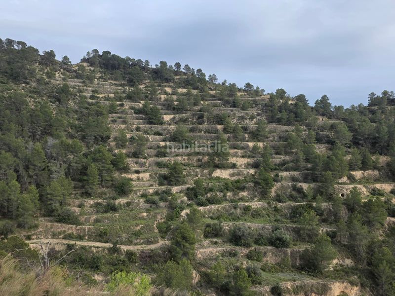 Foto ed0fa7c3-bd16-4153-b0dc-f36f44a62629. Finca rústica a Sella