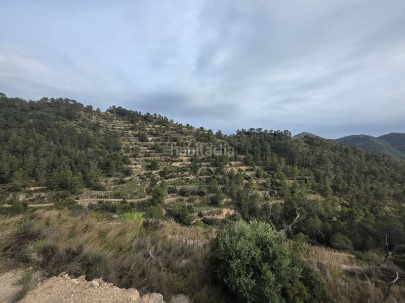 Foto efb0891b-ad26-4b2a-a3c9-bbe808da82d7. Finca rústica a Sella