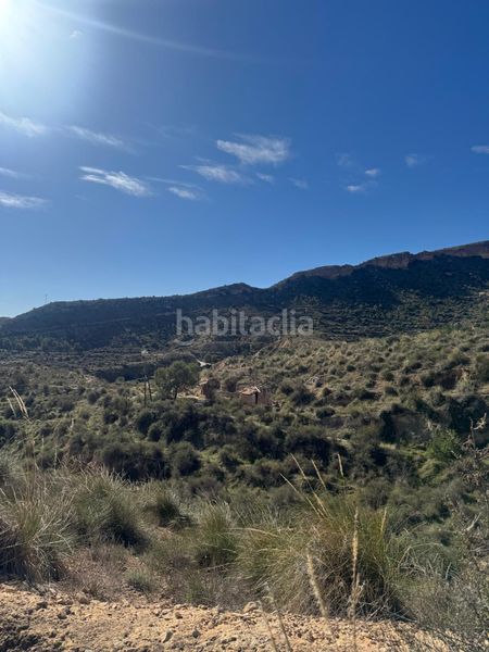 Foto 4f7bb8b4-bb93-4db3-b8b8-e62b6b6791e6. Finca rústica a Crevillente