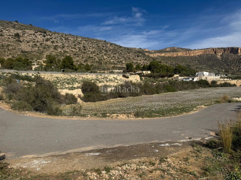 Foto d0ce8096-cede-4825-b5f1-6dcc048eb575. Finca rústica a Crevillente