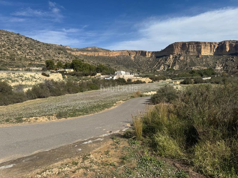 Foto fc8d8579-f162-4115-a28b-573a93a229ac. Finca rústica a Crevillente