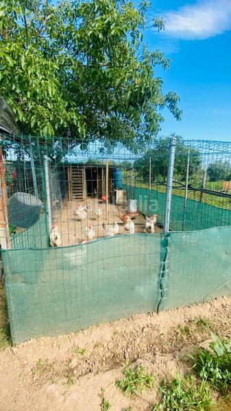 Foto 3e9a1dcb-5a46-493a-954b-291b956753d5. Landgut in Puig Ses Forques - Torre Colomina Sant Antoni de Calonge