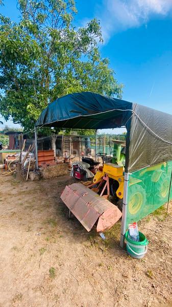 Foto d9201a95-0b5f-4ab4-be61-4932fab34ecd. Landgut in Puig Ses Forques - Torre Colomina Sant Antoni de Calonge