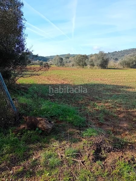 Foto 591e82c0-5ac1-4572-ac2c-9c2a8579b0f4. Finca rústica a Sant Joan - Vilarromà Palamós