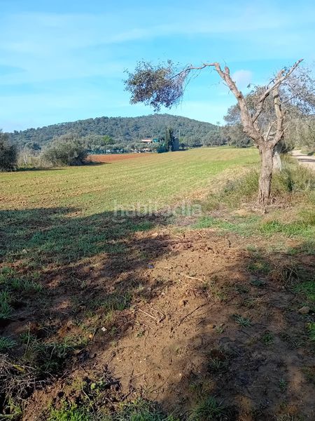 Foto 69c86072-09b9-49fd-8adc-6bc1f45acf65. Finca rústica a Sant Joan - Vilarromà Palamós