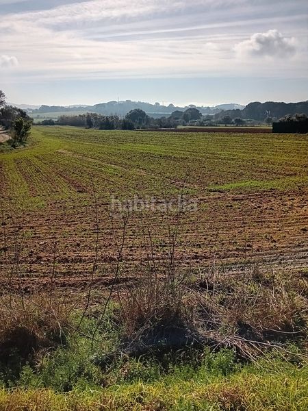 Foto 7a7e6a4f-df27-443c-a3a6-fbfa7f7a54e0. Finca rústica a Sant Joan - Vilarromà Palamós