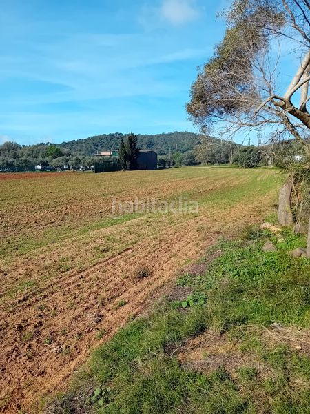 Foto a4962b90-3f25-4c1e-853f-6964c2f2b7af. Finca rústica a Sant Joan - Vilarromà Palamós