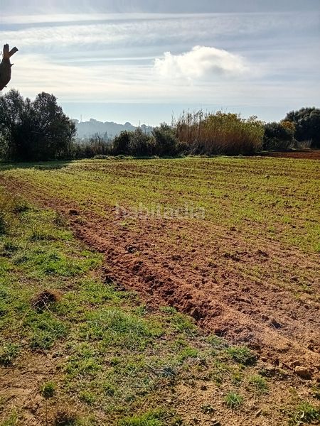 Foto a5f66009-59ab-4c41-a978-7a6405fdb88c. Finca rústica a Sant Joan - Vilarromà Palamós