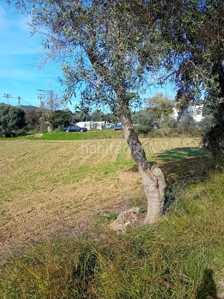 Foto e3b81012-b70a-4553-9e72-3f889b587cc8. Finca rústica a Sant Joan - Vilarromà Palamós