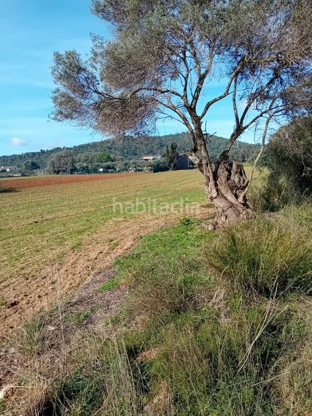 Foto e71430ac-5026-47cd-bb39-11ffd544ae1f. Finca rústica a Sant Joan - Vilarromà Palamós