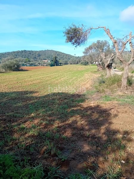 Foto f2bdbcc0-952c-40cc-aa76-64e27d3f60fe. Finca rústica a Sant Joan - Vilarromà Palamós