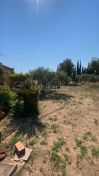 Foto a66f8222-a307-4cbb-817b-8f0806b037bd. Finca rústica a La Punxa Palafrugell