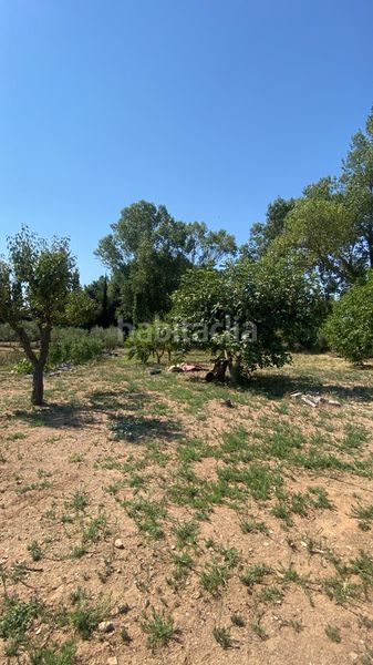 Foto f32a2dd8-129e-4a07-9c10-21789562bf44. Finca rústica a La Punxa Palafrugell