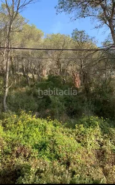 Foto 9a41e063-325c-4cf6-81dc-68510020e5a9. Terreny residencial a Mas Trader-Corral d´En Tort-Corral d´En Cona Cubelles