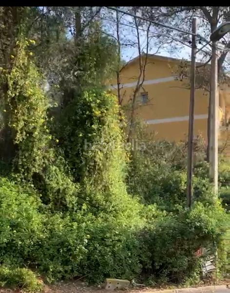 Foto a4db59f8-9610-43d5-ad9e-d6e589291863. Terreny residencial a Mas Trader-Corral d´En Tort-Corral d´En Cona Cubelles