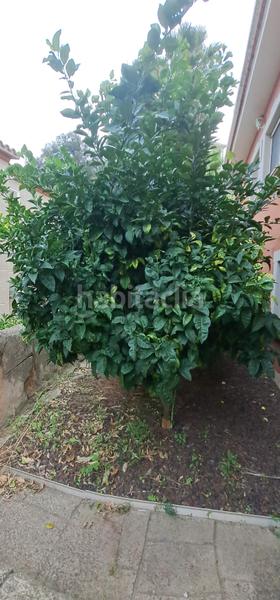 Foto 8693b0ac-08d8-433e-91e7-0e2853d3437b. Casa amb calefacció piscina a Cervelló