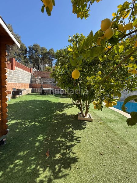Foto 0d8cec31-06dd-421e-aee9-18cd65ce6595. Casa amb calefacció aparcament piscina a Cabrera d´Anoia
