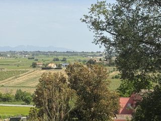 Terreny residencial a Pacs del Penedès. Parcelas con alma en el penedés