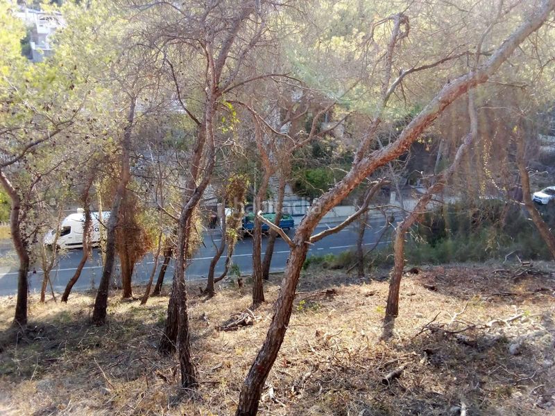 Foto 05c60852-b927-44dd-8687-4b3ff3958942. Terreny residencial a Mas Trader-Corral d´En Tort-Corral d´En Cona Cubelles