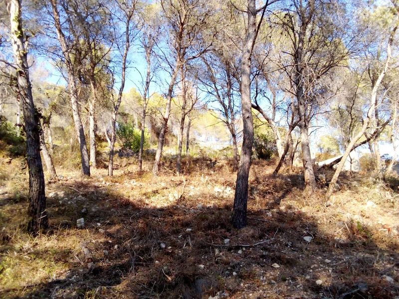 Foto 0980e18b-cc1c-4017-817b-629fa2b213ce. Terreny residencial a Mas Trader-Corral d´En Tort-Corral d´En Cona Cubelles