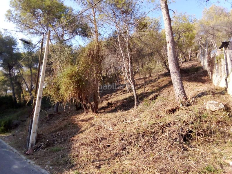 Foto 7f7153d5-fd90-4327-a5dd-4ef655fecc62. Terreny residencial a Mas Trader-Corral d´En Tort-Corral d´En Cona Cubelles