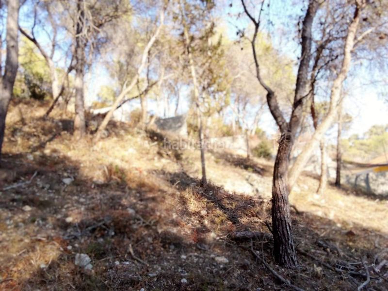 Foto 999a2bfd-0d88-427c-9c58-f703a5c14ba1. Terreny residencial a Mas Trader-Corral d´En Tort-Corral d´En Cona Cubelles