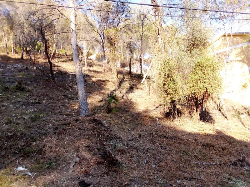 Foto b08dc24f-7e25-42df-8ad7-6ca4d2aa45ef. Terreny residencial a Mas Trader-Corral d´En Tort-Corral d´En Cona Cubelles