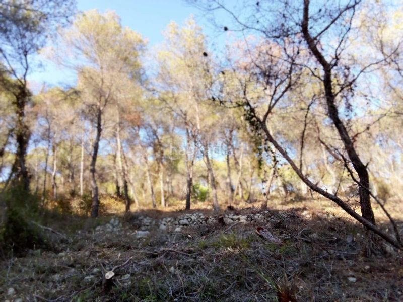 Foto dc8ee68a-e381-4808-8908-1e4fbb9f35e3. Terreny residencial a Mas Trader-Corral d´En Tort-Corral d´En Cona Cubelles